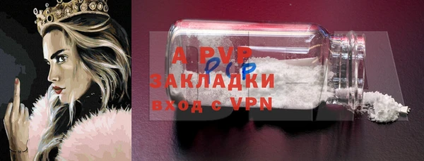 стаф Арсеньев