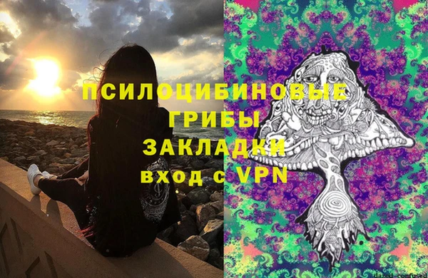 хмурый Аркадак