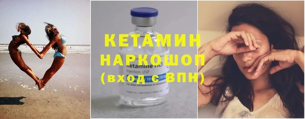хмурый Аркадак