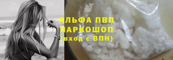 стаф Арсеньев