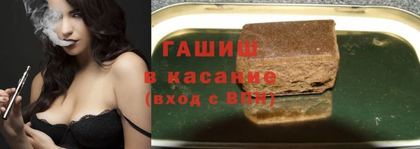 хмурый Аркадак