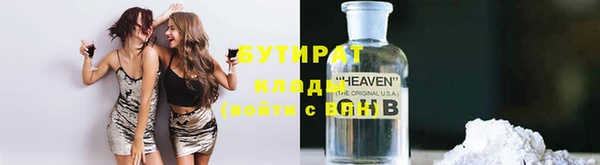 хмурый Аркадак