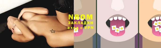 хмурый Аркадак