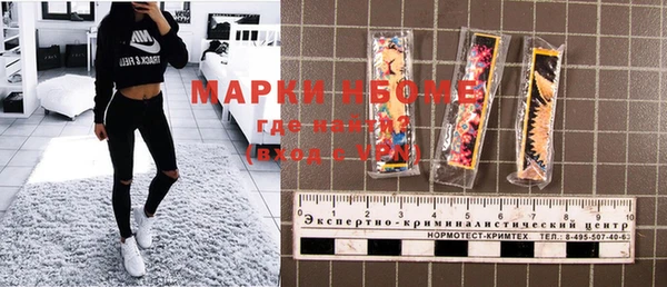 хмурый Аркадак
