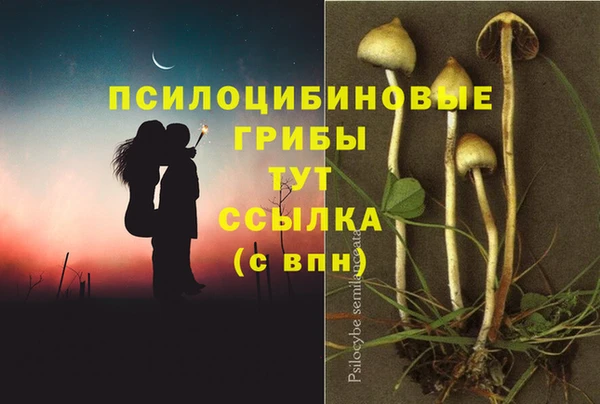 не бодяженный Армянск