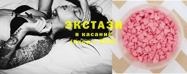хмурый Аркадак