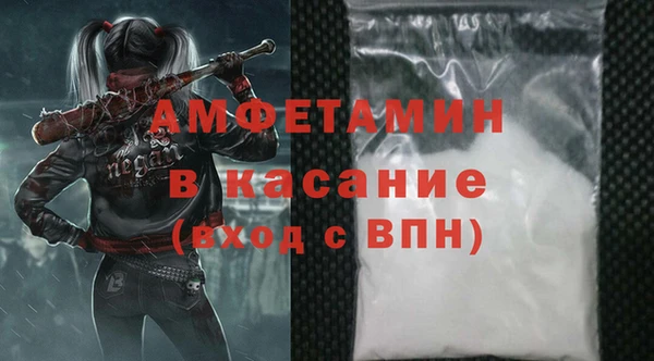 хмурый Аркадак