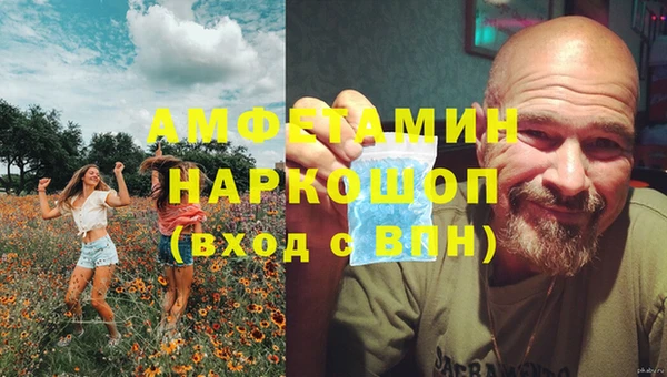 стаф Арсеньев
