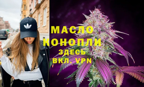 стаф Арсеньев