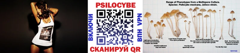 Псилоцибиновые грибы мухоморы  Лаишево 
